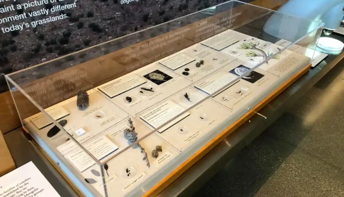 Fabricación de urnas personalizadas de metacrilato
