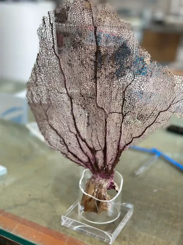 Decoración de interiores en metacrilato de colores o transparente